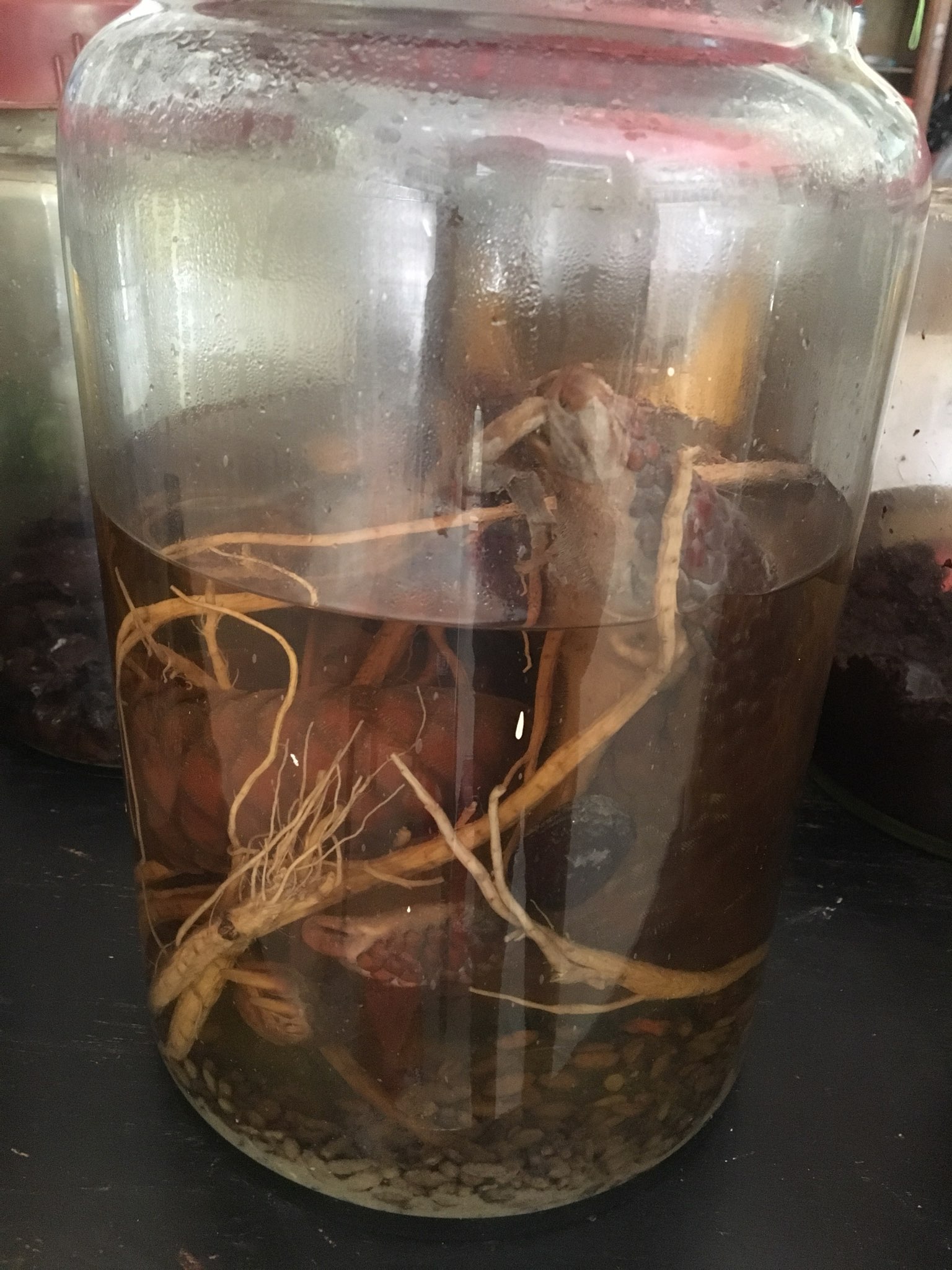 Hơn[-]10[-]năm[-]tù[-]cho[-]đối[-]tượng[-]buôn[-]bán[-]tê[-]tê[-]trái[-]phép
